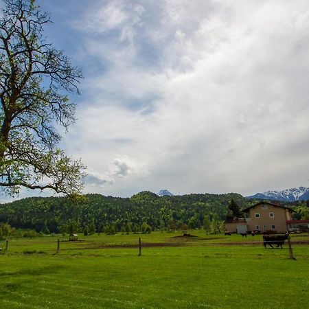 Gaestehaus Dobernig Sankt Niklas an der Drau Exterior foto